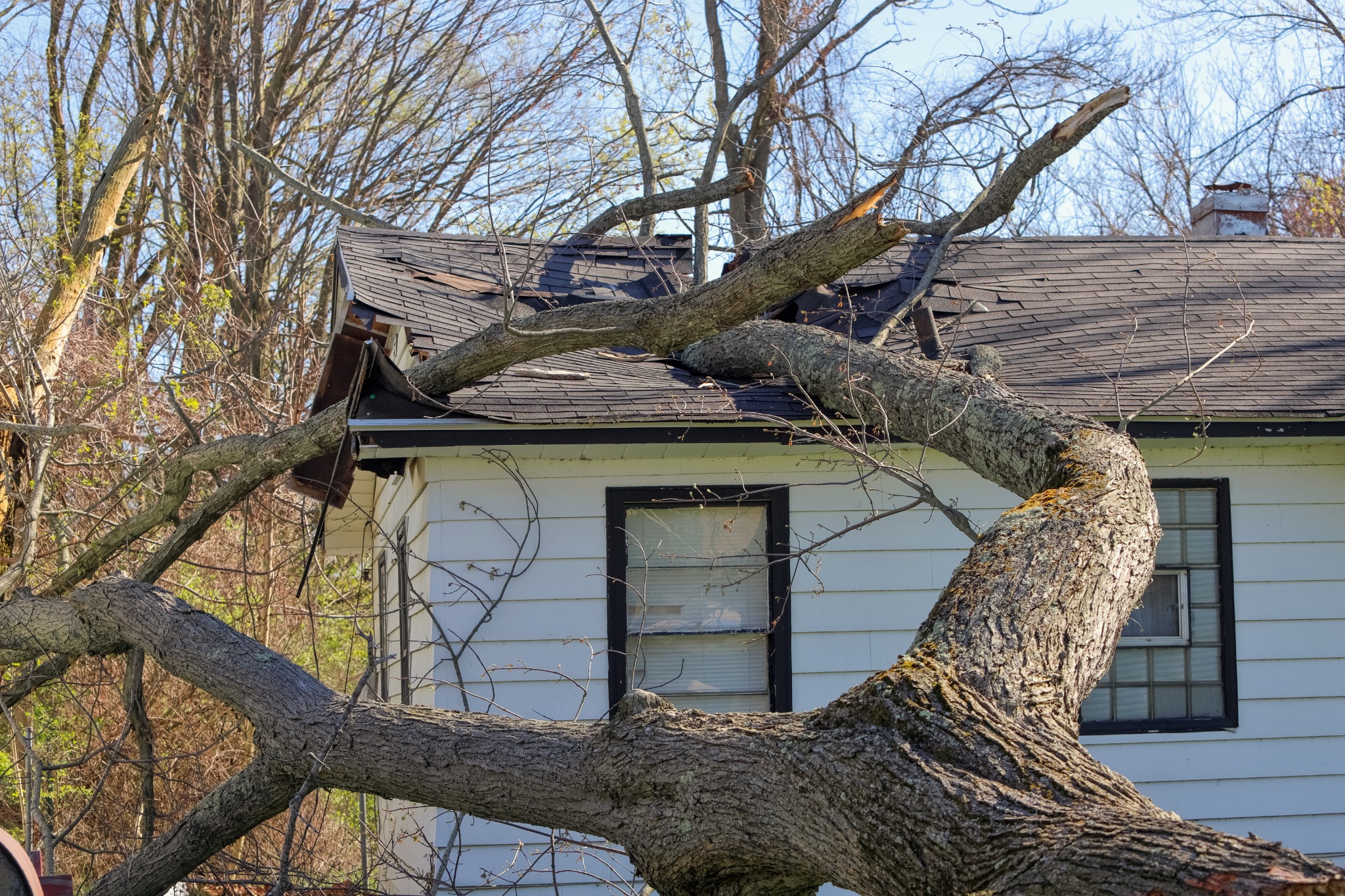 Tree on a roof after a storm